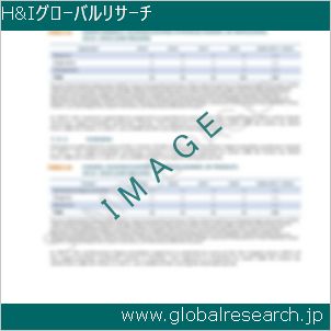 グローバルリサーチ調査レポートのイメージ